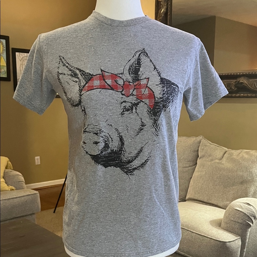 Pig in Bandana Gray T-Shirt
Size Small